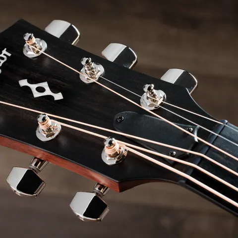 2024年の新アコースティックギター | Taylor Guitars